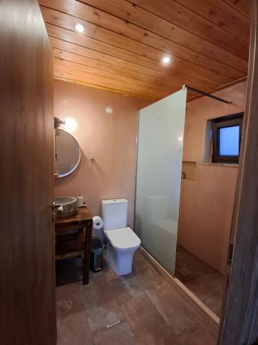 a bathroom with a toilet and a wooden ceiling at Ξενώνας Ίταμος in Kato Trikala Korinthias