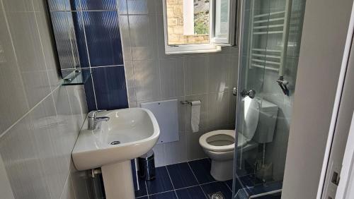 a small bathroom with a sink and a toilet at Myrtos Hidden Garden Villa in Ierapetra