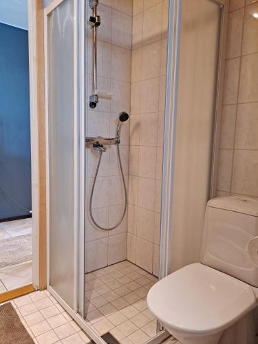a bathroom with a shower with a toilet at Seastar 101 in Kalajoki
