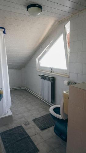 a bathroom with a toilet and a window at Gacka idila 2 in Otočac