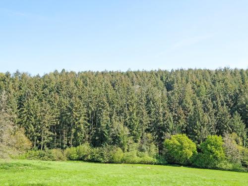 a green field with a forest of trees in the background at Clock Cottage in Branscombe