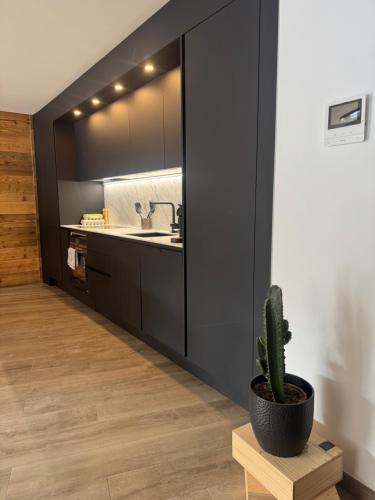le cocon du centre
