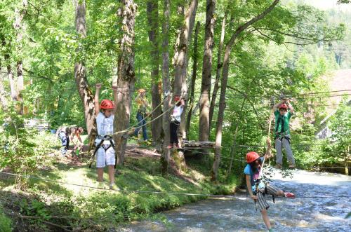 a group of people on a rope bridge over a river at Kinderhotel Appelhof in Mürzsteg