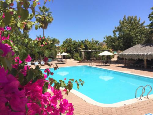 Πισίνα στο ή κοντά στο Tripui Hotel