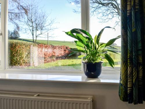 a potted plant sitting on a window sill at Cowar Bothy in Dalbeattie