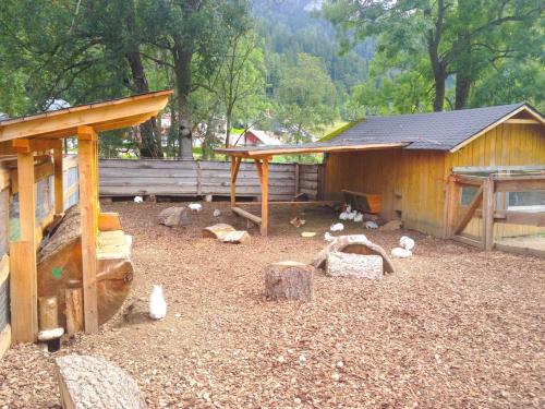 a group of birds standing around a barn at Kinderhotel Appelhof in Mürzsteg
