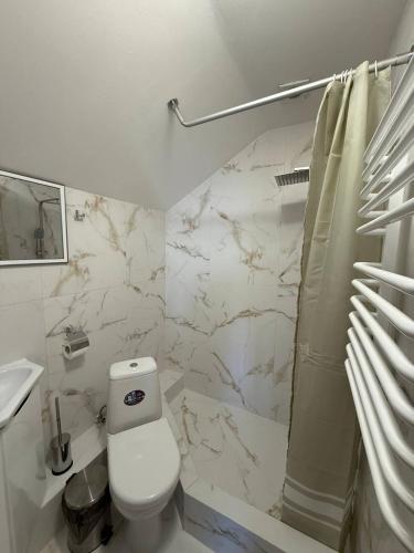 a white bathroom with a toilet and a shower at Ватрич House in Chernivtsi