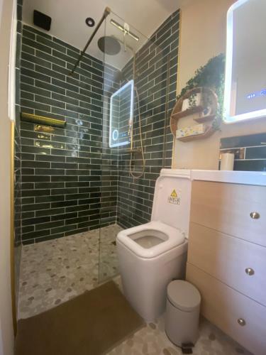 a bathroom with a toilet and a glass shower at Chambre & grande Terrasse Privées, Vue Montagne - Chalet Bella Rosa in Argein