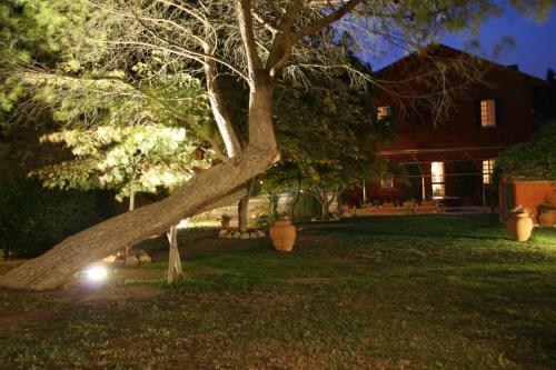 a tree in the yard of a house at night at Tenuta Agricola Fonte Di Papa in Monterotondo
