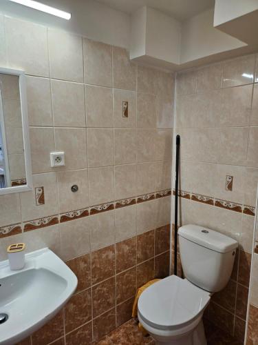 a bathroom with a toilet and a sink at Apartmán Příkrá in Děčín