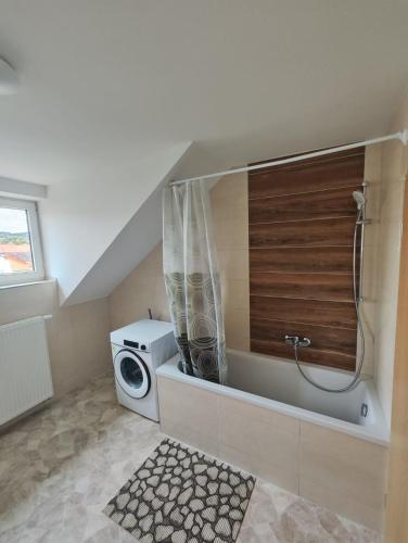 a bathroom with a washing machine and a washer and dryer at Revant Monteurzimmer Haus in Arnstadt
