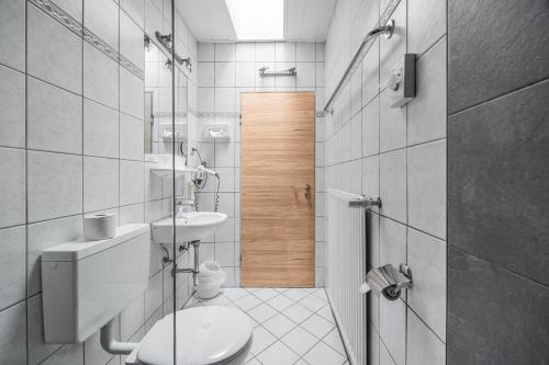 a bathroom with a toilet and a sink and a shower at Pension Domblick in Wetzlar