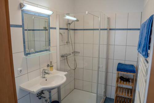 a bathroom with a sink and a shower at Ferienwohnung Schretthauser in Bad Mitterndorf