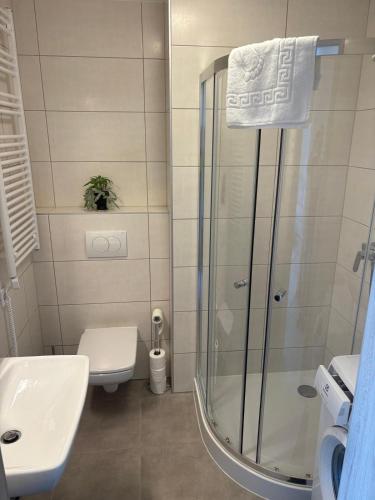 a bathroom with a shower and a toilet and a sink at Waterfront studio in Balatonszemes