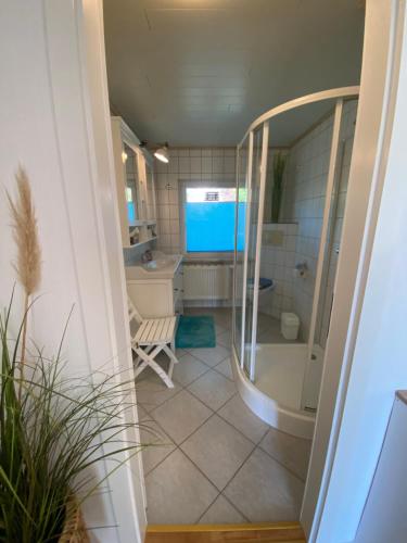 a bathroom with a shower and a sink at Ferienhaus am Wald - Leipzig Land Whirlpool & Infrarotkabine in Brandis