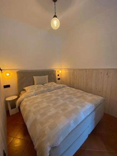 a bedroom with a large bed in a room at Sul fiume di Varallo in Varallo
