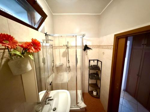 a bathroom with a shower and a sink with red flowers at Lake's Sound in Nesso