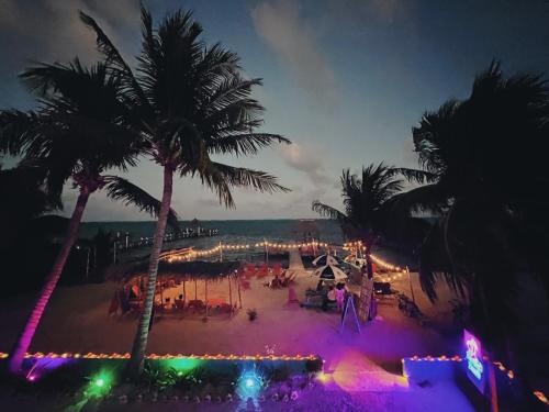 a beach with palm trees and lights at night at Barefoot Beach Belize in Caye Caulker