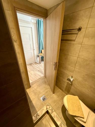 a small bathroom with a toilet and a mirror at ΑVLI Sarti Studios & Apartments no 3 in Sarti