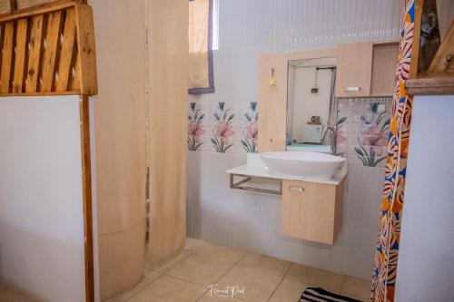 a bathroom with a sink and a mirror at La Villa Allamanda in Rodrigues Island