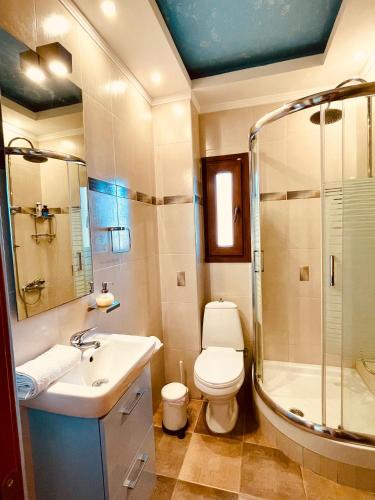 a bathroom with a toilet and a sink and a shower at The Greek Mama's Cottage in Epanomi