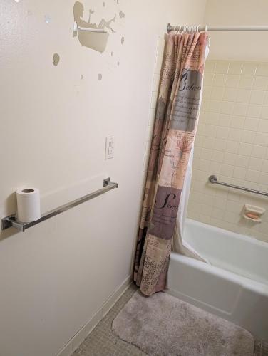 a bathroom with a shower curtain next to a tub at Lucky get away in Poughkeepsie