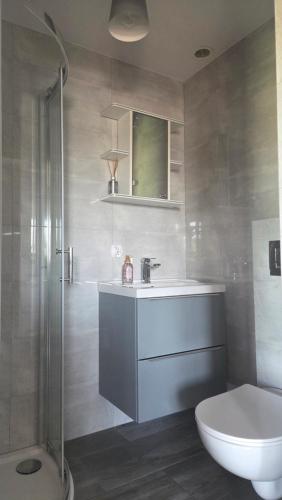 a bathroom with a sink and a shower and a toilet at Gazdówka in Gródek Nad Dunajcem