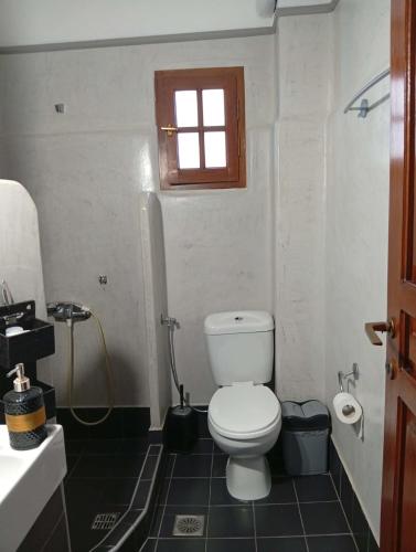 a bathroom with a toilet and a sink and a window at Irida maria Family studios in Agios Ioannis Pelio