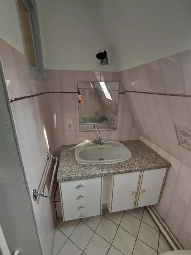a small bathroom with a sink and a mirror at Grand Duplex 9 pers-Centre de La Bourboule in La Bourboule
