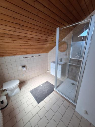 a bathroom with a shower and a toilet and a tub at Ferienchalet Hechingen in Hechingen
