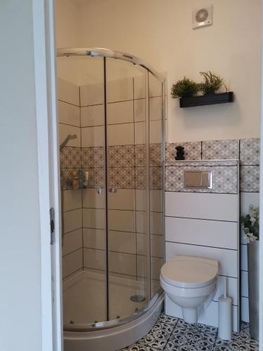 a bathroom with a shower and a toilet at CASA MINI 5 in Pécs