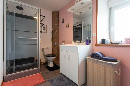 a bathroom with a shower and a sink and a toilet at Maison de La Beslière meublé de tourisme 2 étoiles in Folligny