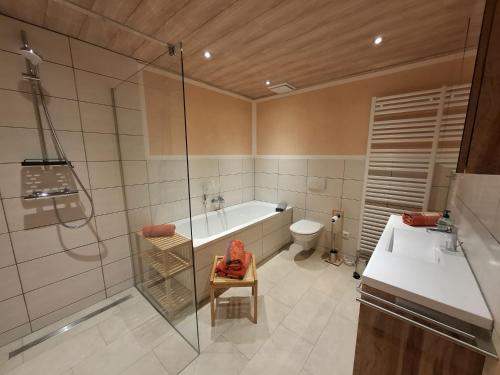 a bathroom with a shower and a tub and a toilet at Ferienhaus zum Eiskeller in Stadt Wehlen