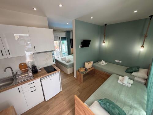 a kitchen and living room with a couch and a sink at ΑVLI Superior Studio Sarti no6 in Sarti