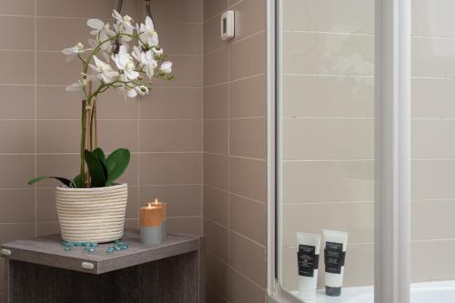 a bathroom with a shower with a plant and a candle at Sunny resort apartment with pool access in Zadar