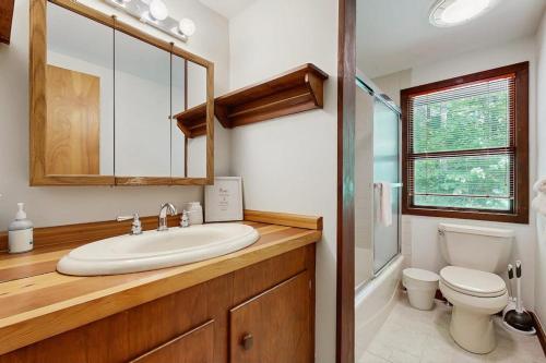 a bathroom with a sink and a toilet at Lincoln Gap Retreat in Warren