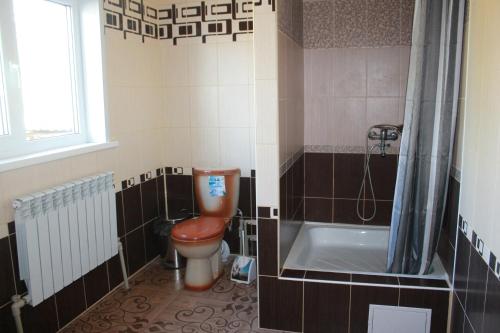 a bathroom with a toilet and a bath tub at 3 комнатная квартира на Ленина 49 in Ryl'sk