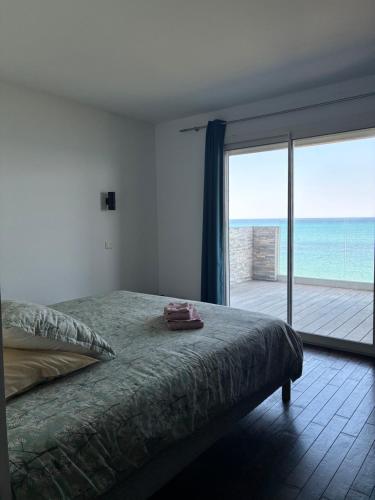 a bedroom with a bed with a view of the ocean at Punta di Mare in Linguizzetta