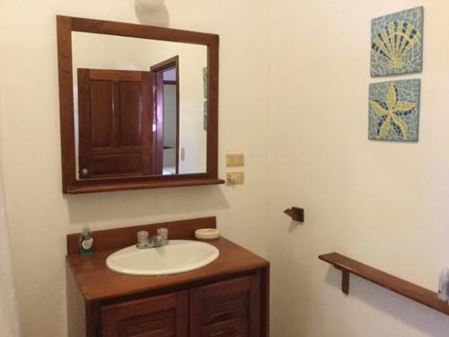 a bathroom with a sink and a mirror at Centric, clean, safe, with pool & monkey visitors in Tamarindo