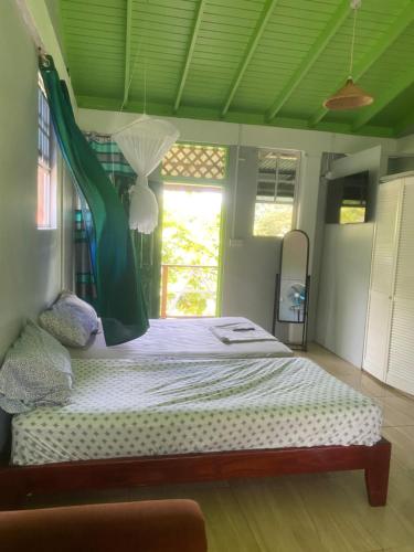 a bedroom with a bed with a green ceiling at Anthurium Apartment in Roseau