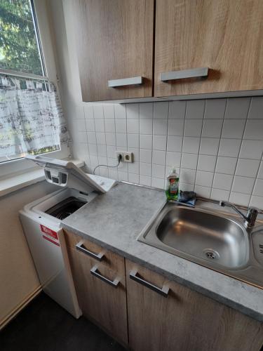 a small kitchen with a sink and a counter top at Monteurwohnungen Bad Langensalza in Bad Langensalza