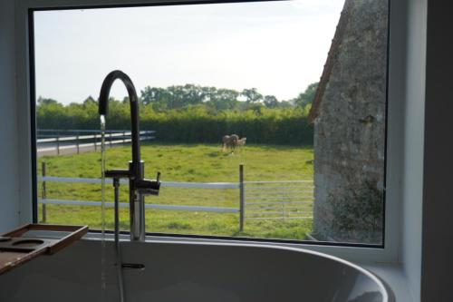 a kitchen sink with a view of a horse in a field at Domaine la Héroïca in Maisonnais