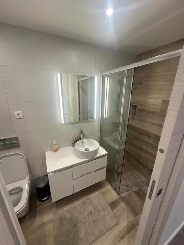 a bathroom with a sink and a shower and a toilet at Apartamento B T4 Pombal in Pombal