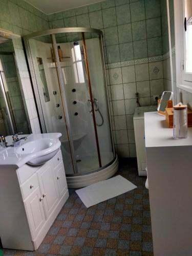 a bathroom with a shower and a sink at Au cerisier in Saint-Maulvis