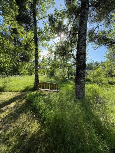 a park bench sitting between two trees in a field at Le refuge de Chambord Nature, calme, forêt et prestige des châteaux de la Loire in Thoury