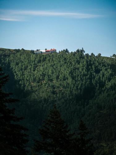 a house on top of a hill with trees at Casa de São Lourenço - Burel Panorama Hotel - member of Relais & Châteaux in Manteigas