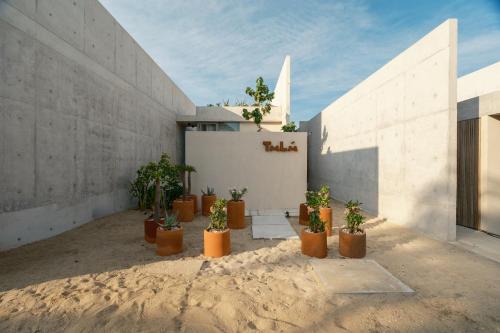 a group of potted plants in front of a building at Casa Talá by Lumina in Puerto Escondido