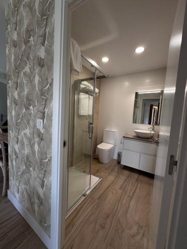 a bathroom with a shower and a toilet and a sink at Casona de Queveda in Queveda
