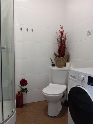 a white bathroom with a toilet and a shower at Apartament Pasaż 3 in Giżycko