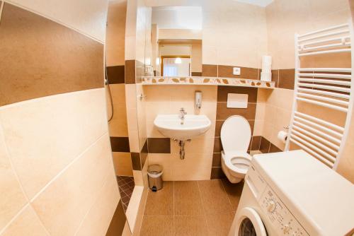 ein kleines Bad mit WC und Waschbecken in der Unterkunft Apartmány - Penzion Smetanka in Budweis